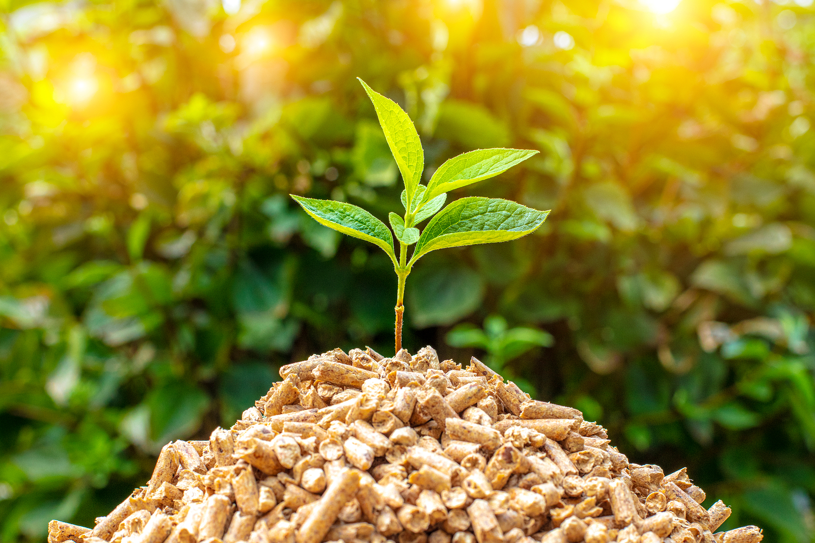 small pile of wood pellets with on top of green leaves. Eco-sustainable biomass concept.